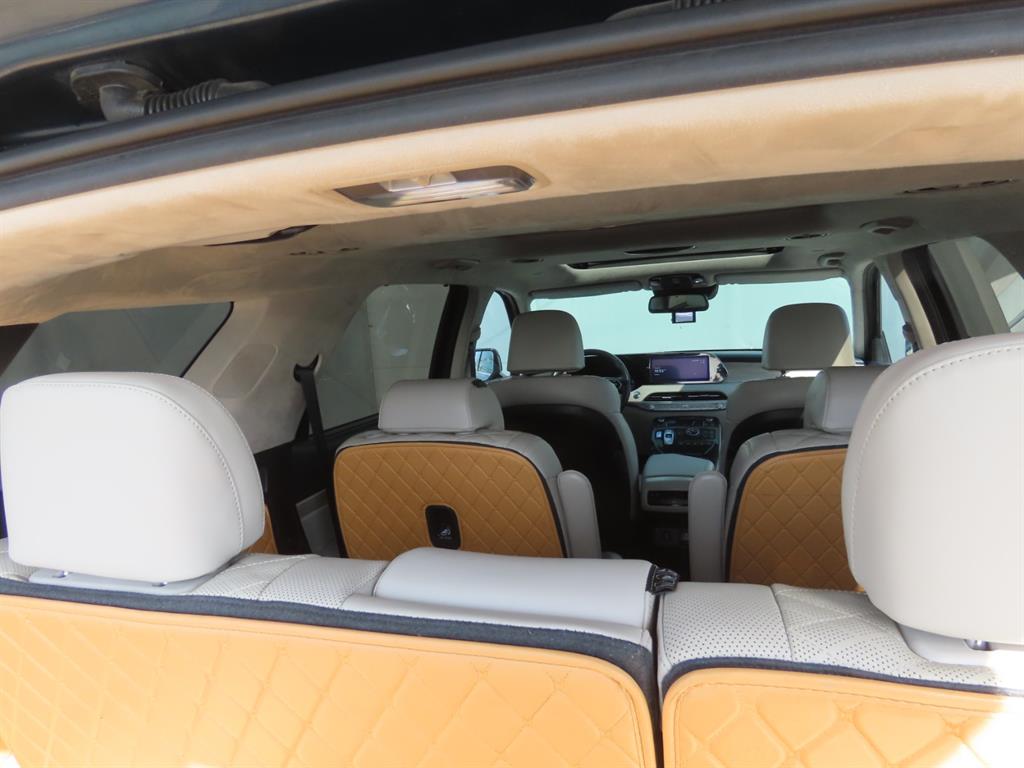 HYUNDAI Palisade - Vista 11
