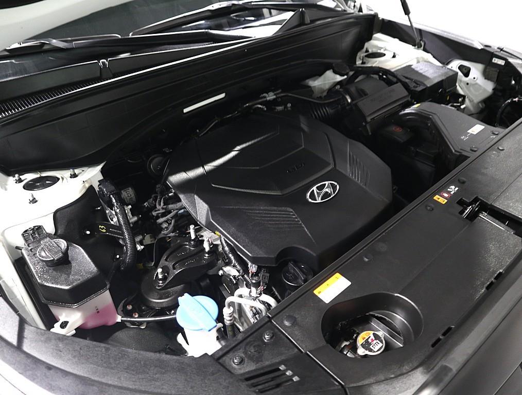 HYUNDAI Palisade - Vista 6