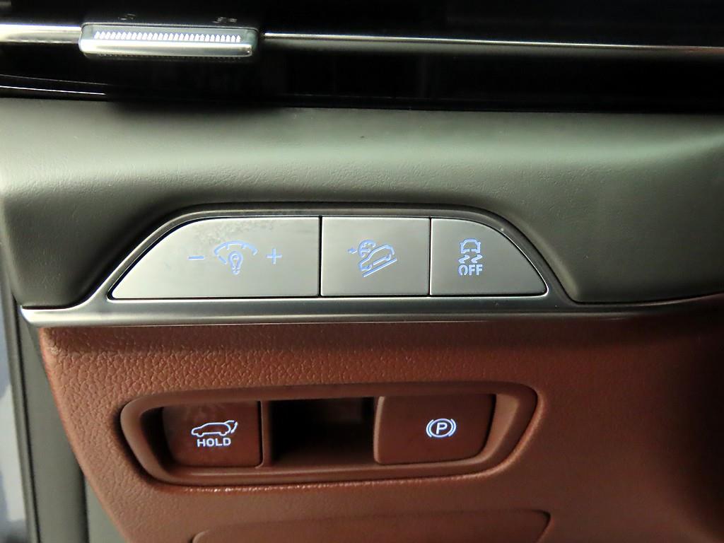 Genesis GV80 - Vista 10