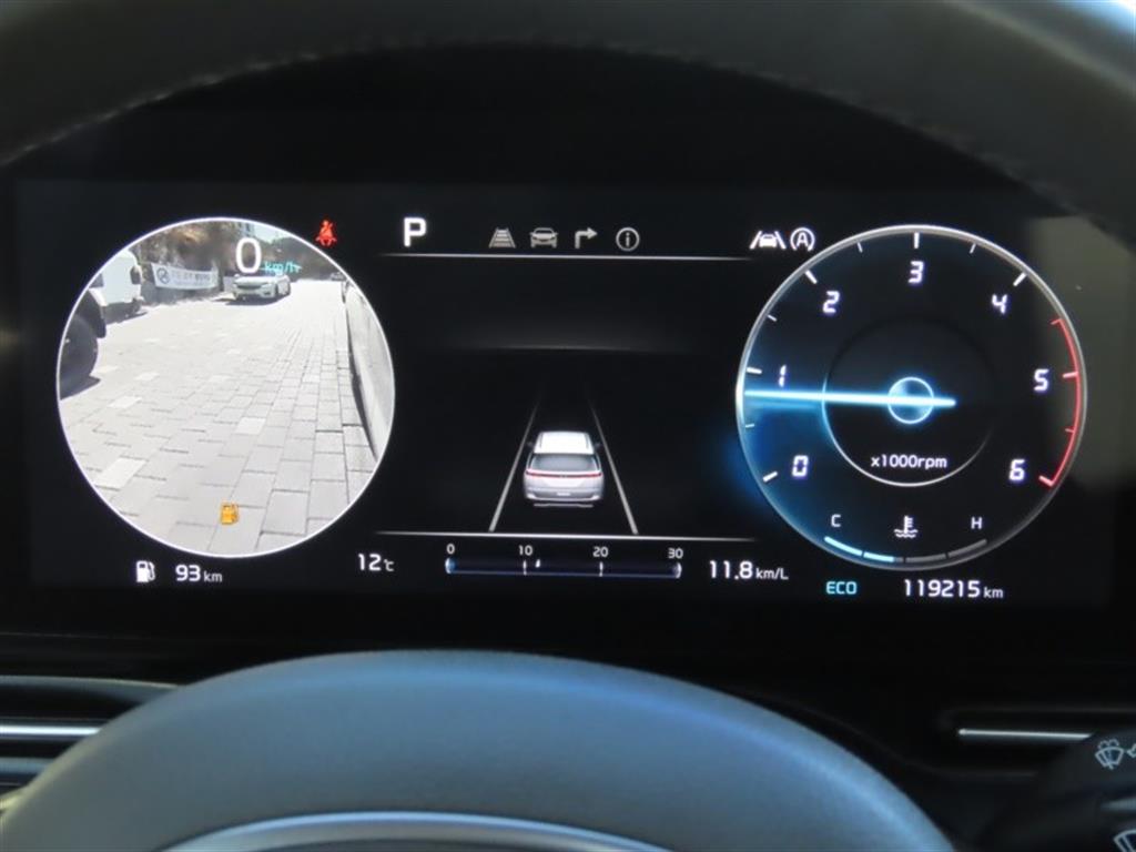 KIA Carnival - Vista 9