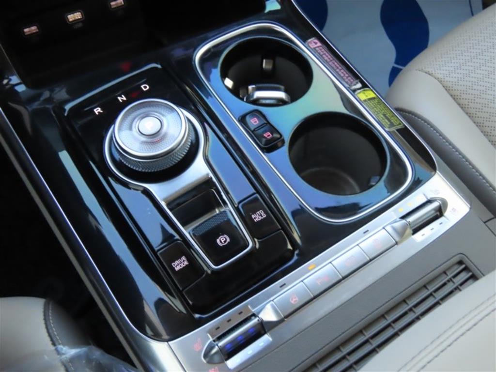 KIA Carnival - Vista 11