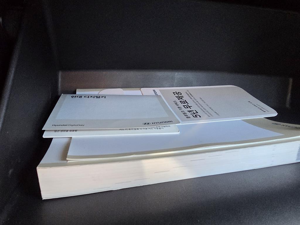 HYUNDAI Avante - Vista 11