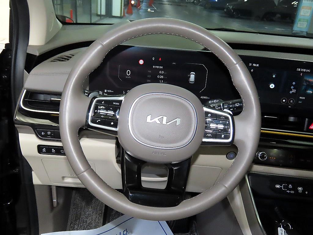 KIA Carnival - Vista 8