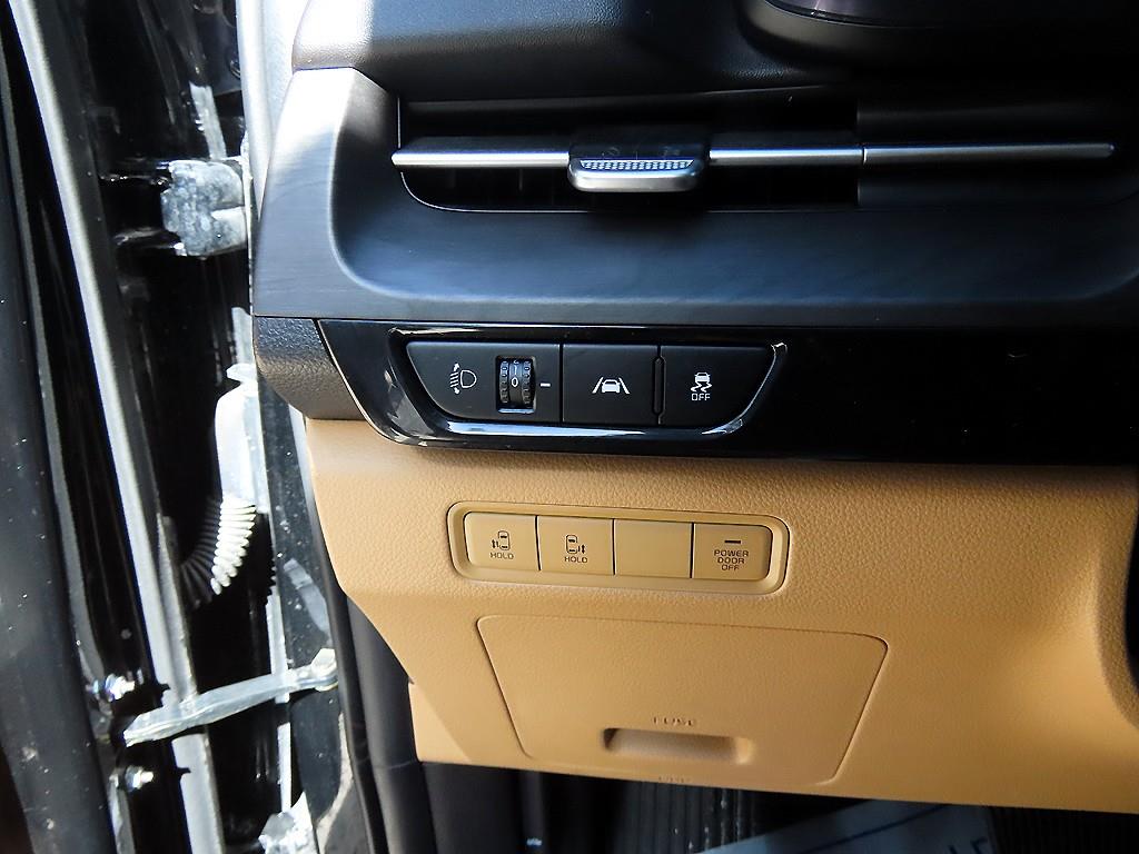 KIA Carnival - Vista 12