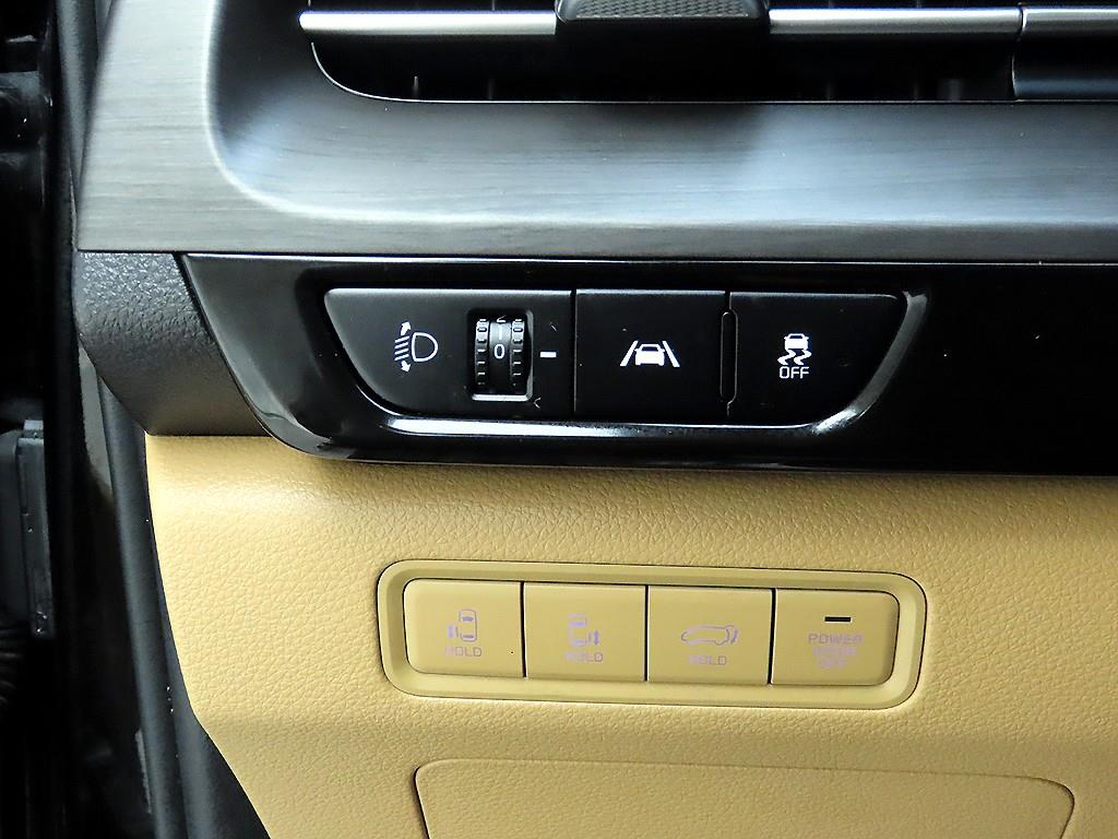 KIA Carnival - Vista 12