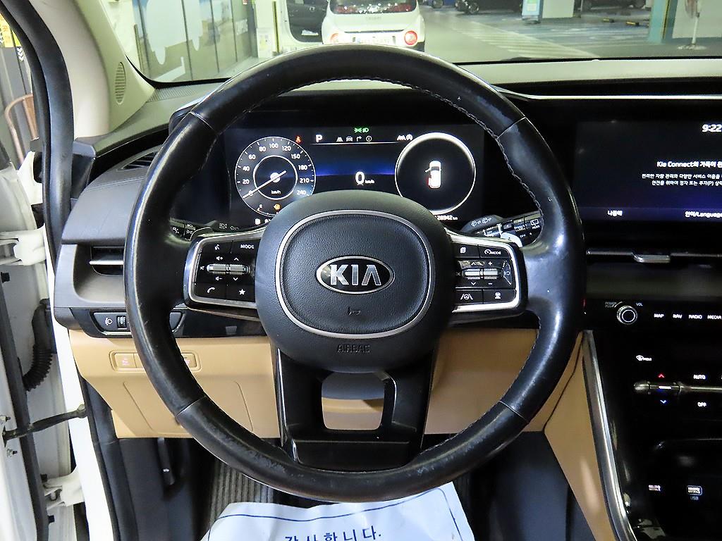 KIA Carnival - Vista 8