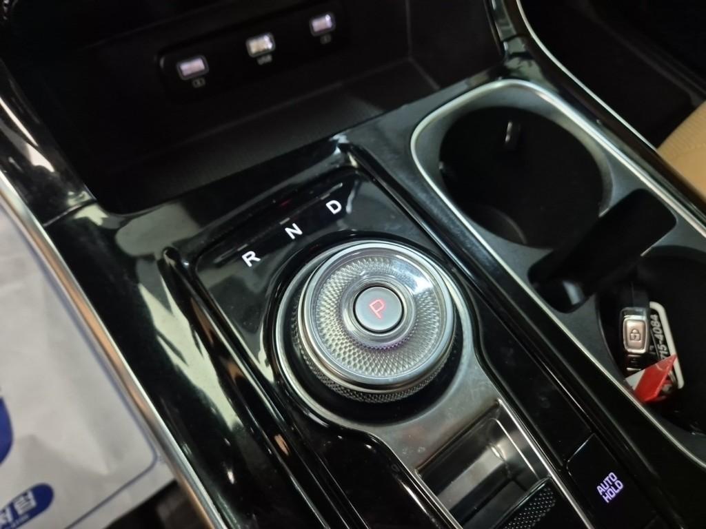 KIA Carnival - Vista 12