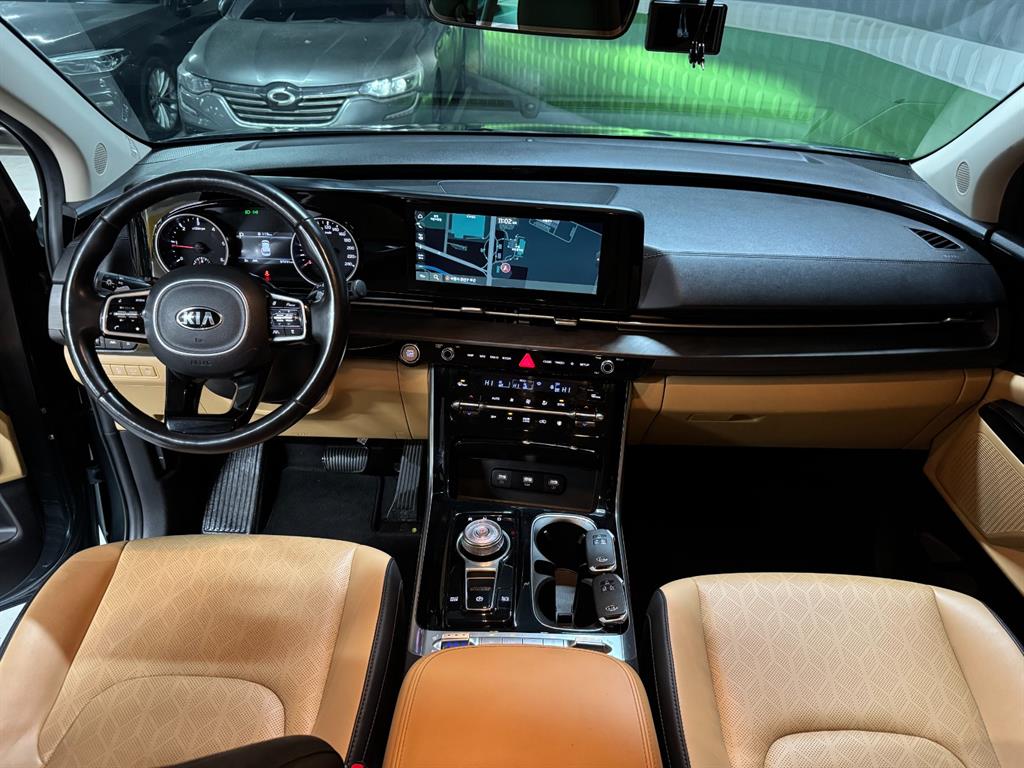 KIA Carnival - Vista 8