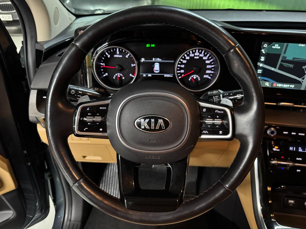 KIA Carnival - Vista 10