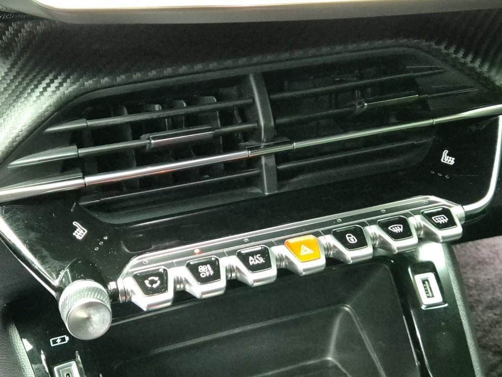 Peugeot 2008 - Vista 12