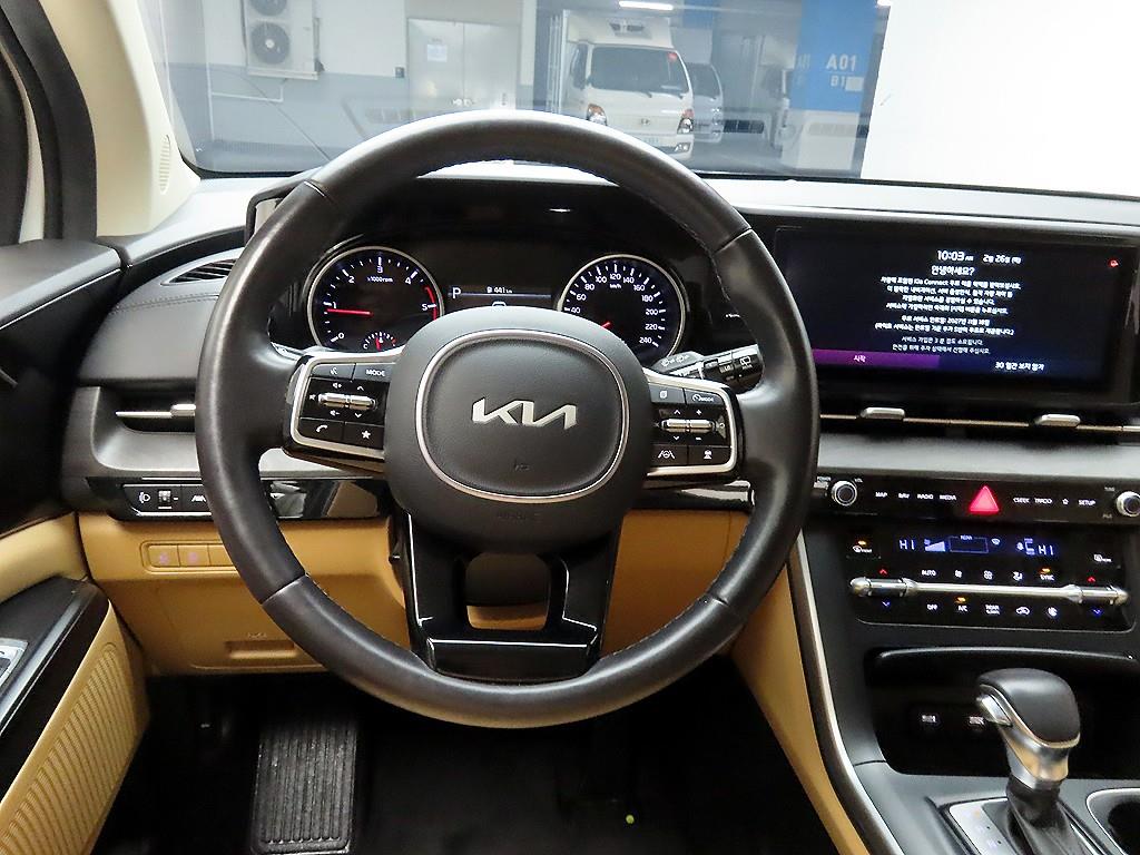 KIA Carnival - Vista 7