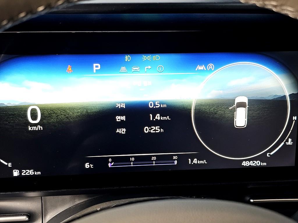 KIA Carnival - Vista 7