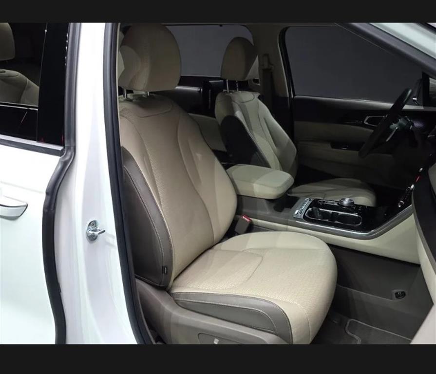 KIA Carnival - Vista 5