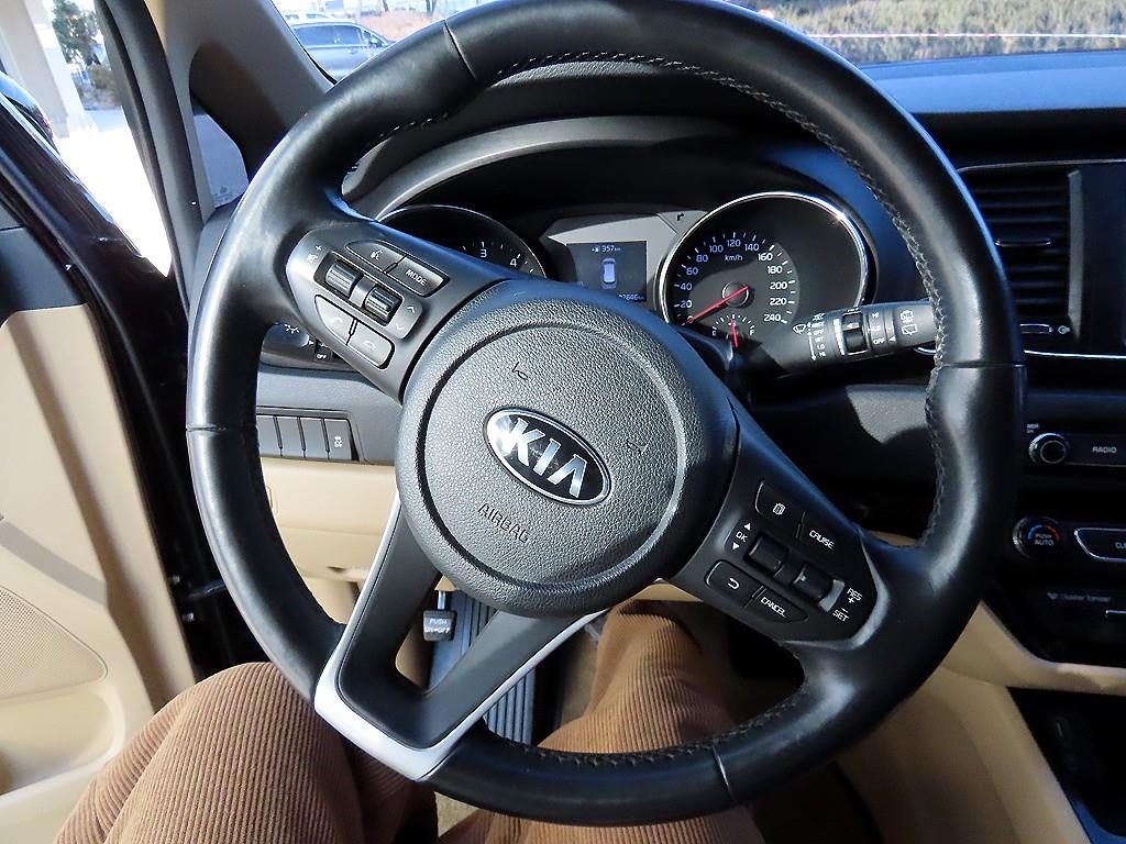 KIA Carnival - Vista 9