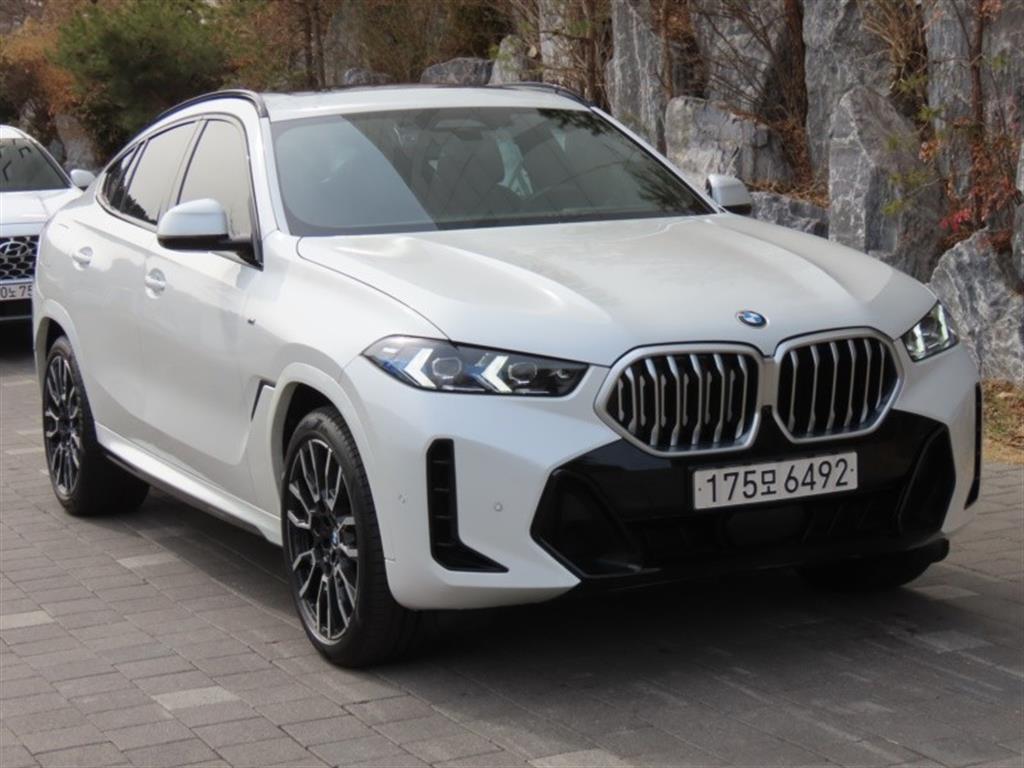 BMW X6 - Vista 3