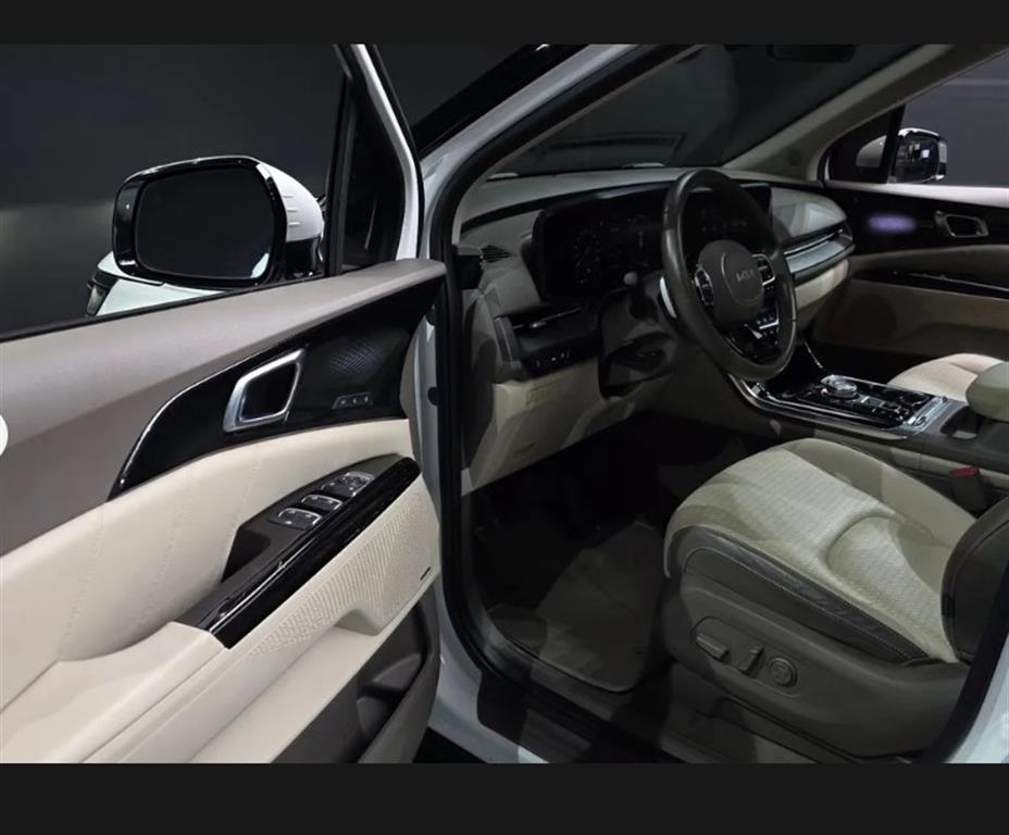 KIA Carnival - Vista 4