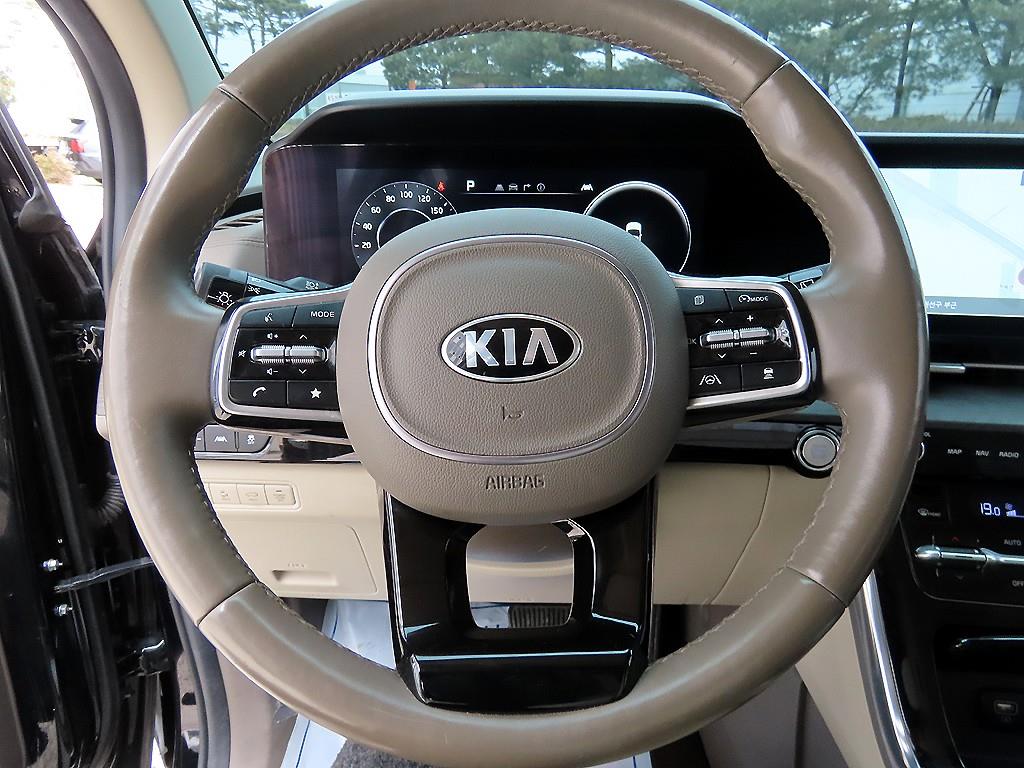 KIA Carnival - Vista 9