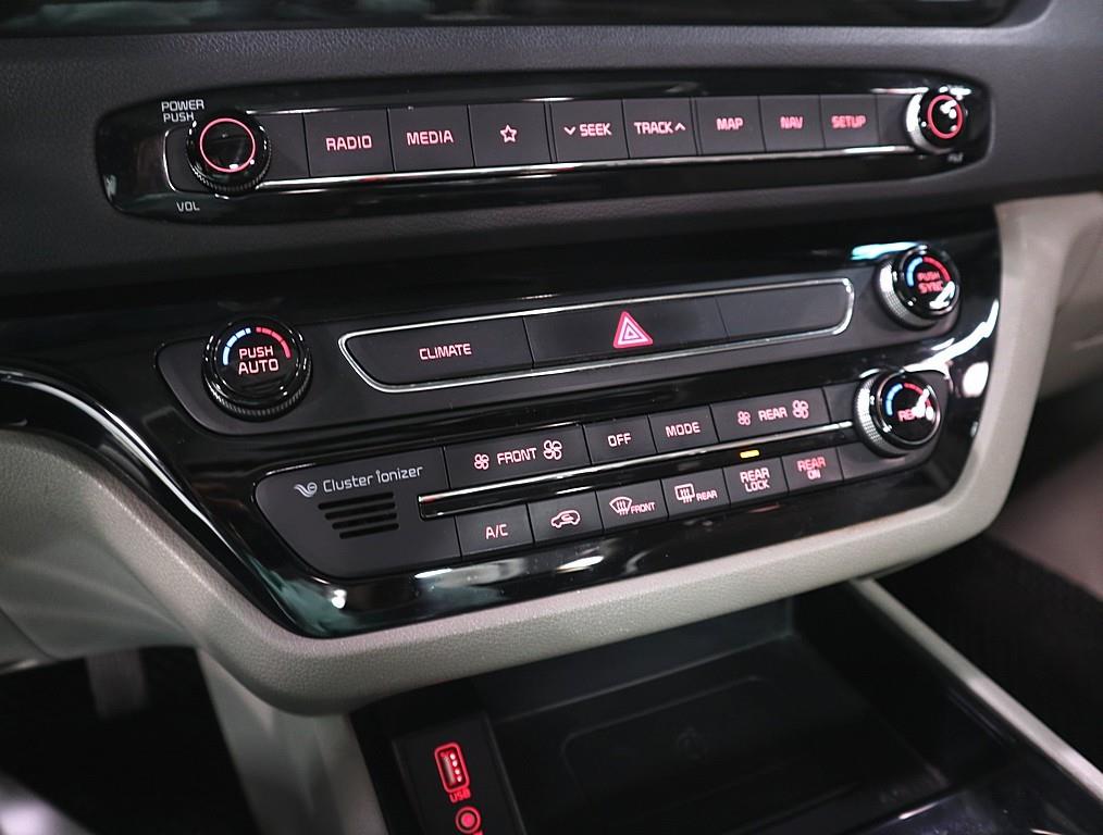 KIA Carnival - Vista 8