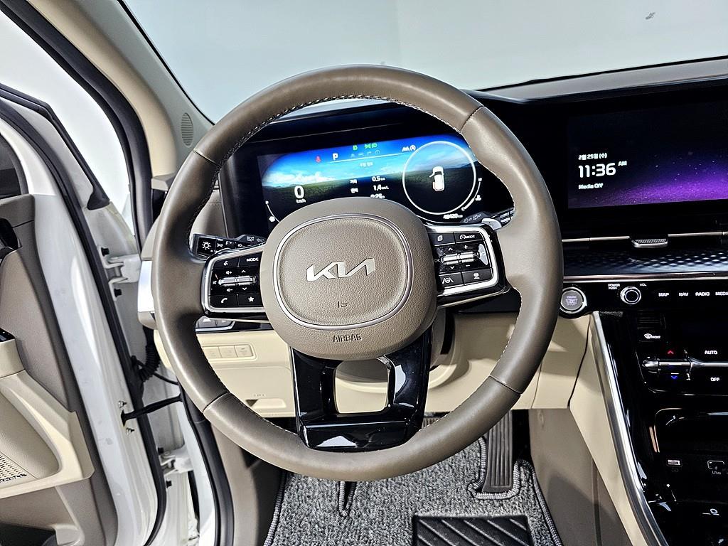 KIA Carnival - Vista 12