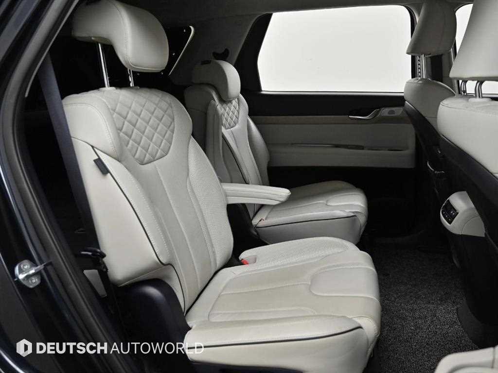 HYUNDAI Palisade - Vista 12
