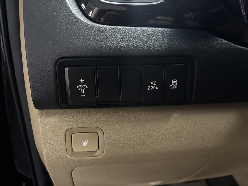 KIA Carnival - Vista 12