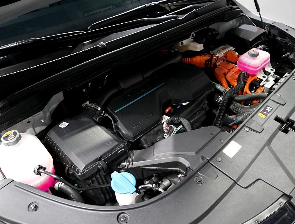 KIA Carnival - Vista 6