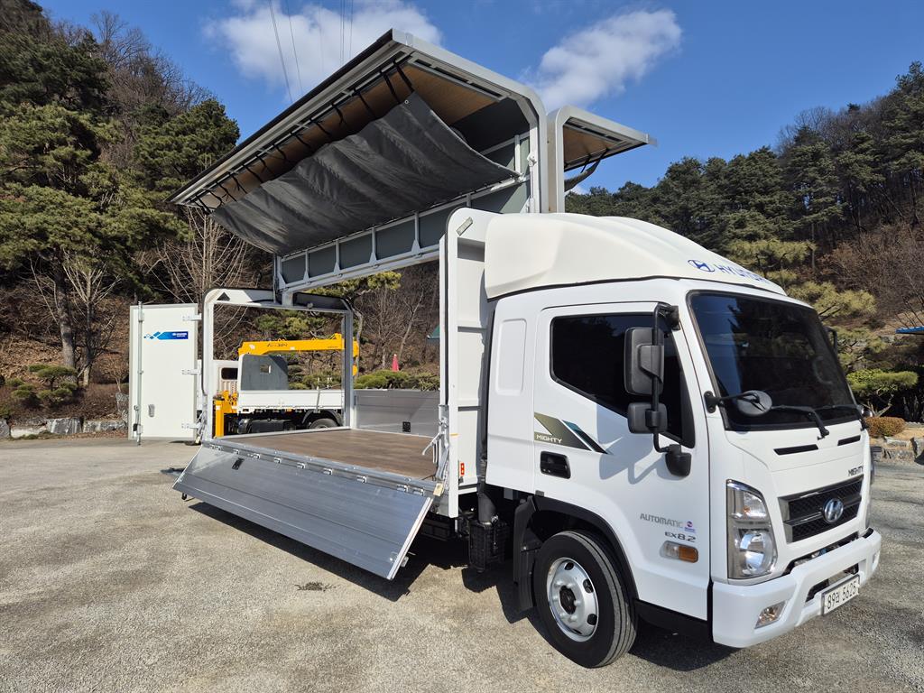 medium and large cargo truck - Vista 11