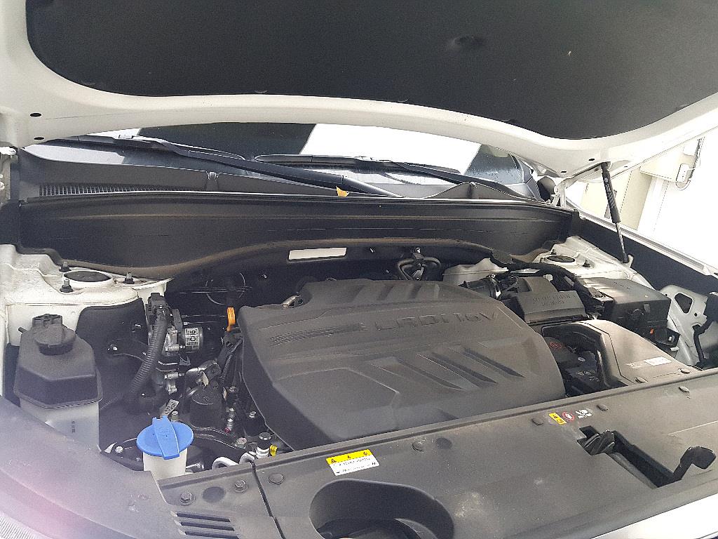 HYUNDAI Palisade - Vista 6