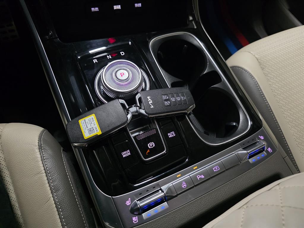 KIA Carnival - Vista 10