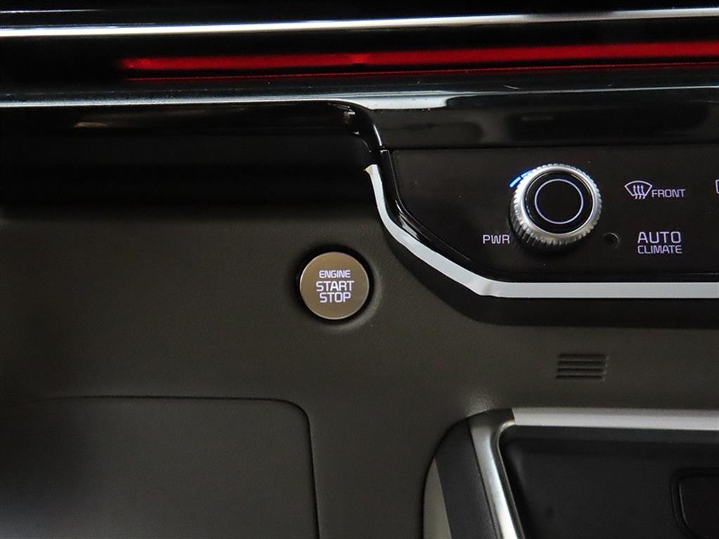 KIA Carnival - Vista 12