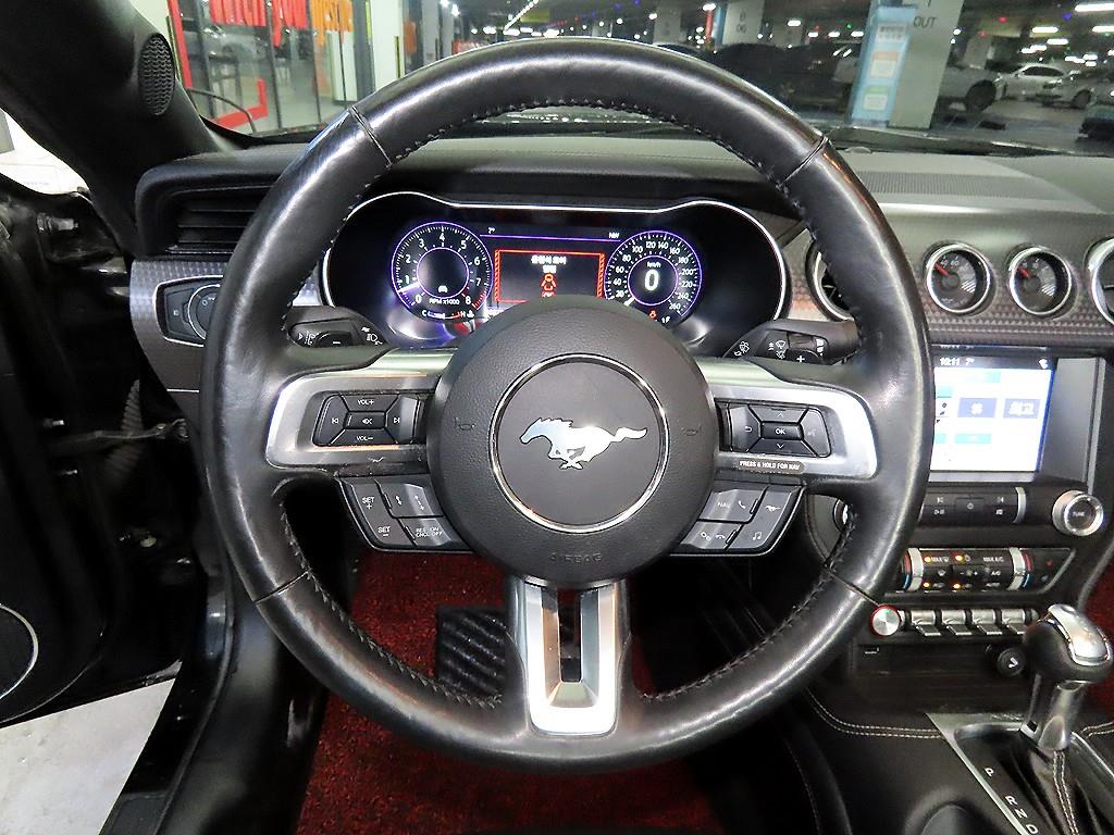 Ford Mustang - Vista 11