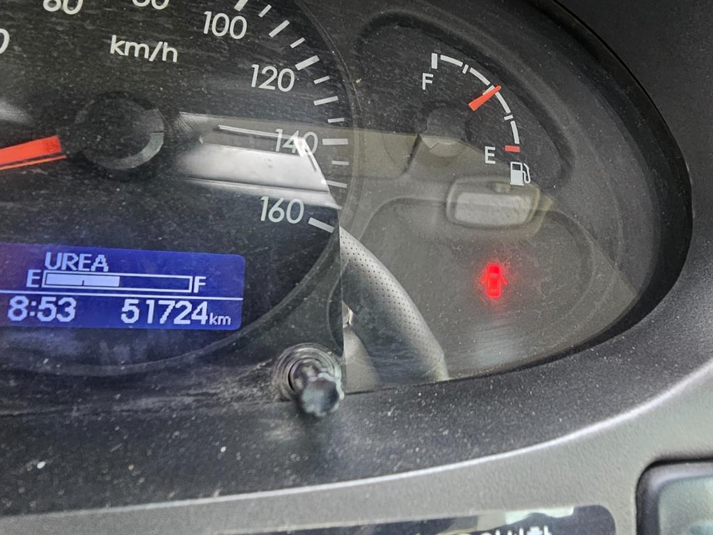 medium and large cargo Rory - Vista 5