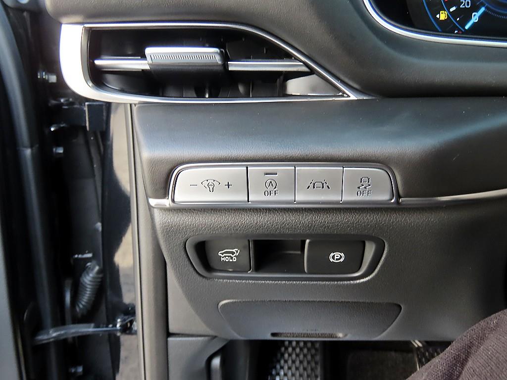 Genesis GV80 - Vista 12