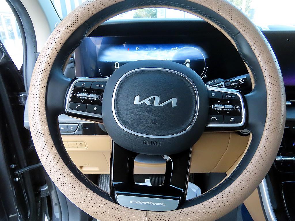 KIA Carnival - Vista 9