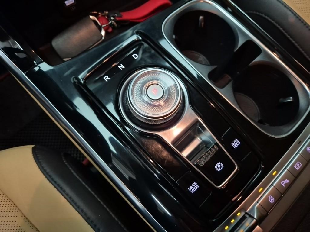 KIA Carnival - Vista 8