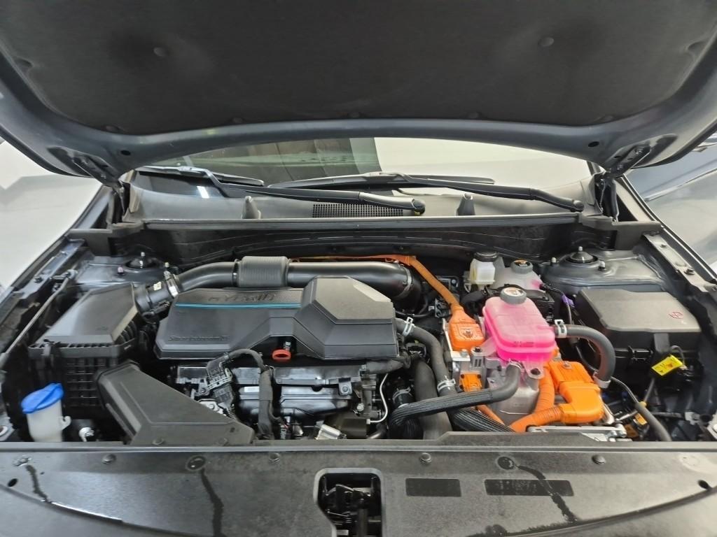 KIA Sportage - Vista 5