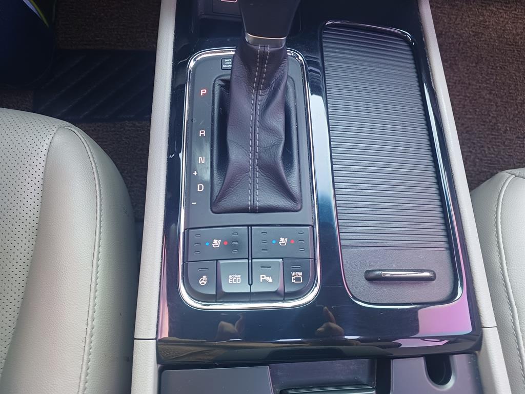 KIA Carnival - Vista 12