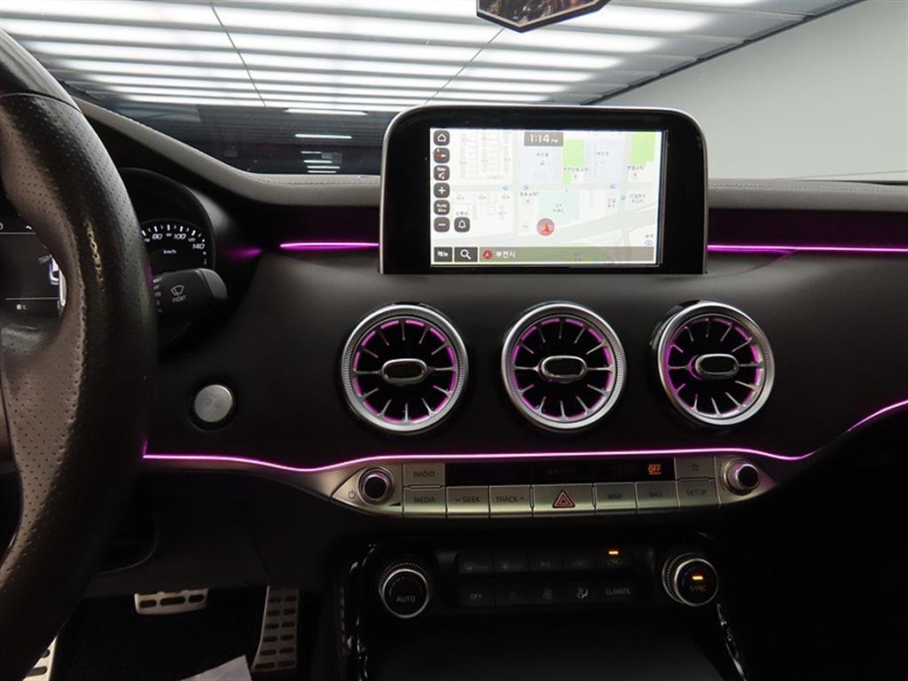 KIA Stinger - Vista 12