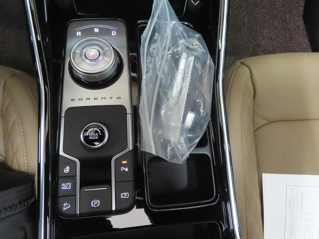 KIA Sorento - Vista 12