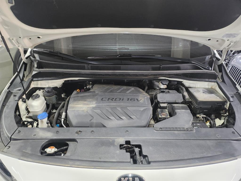 KIA Carnival - Vista 11