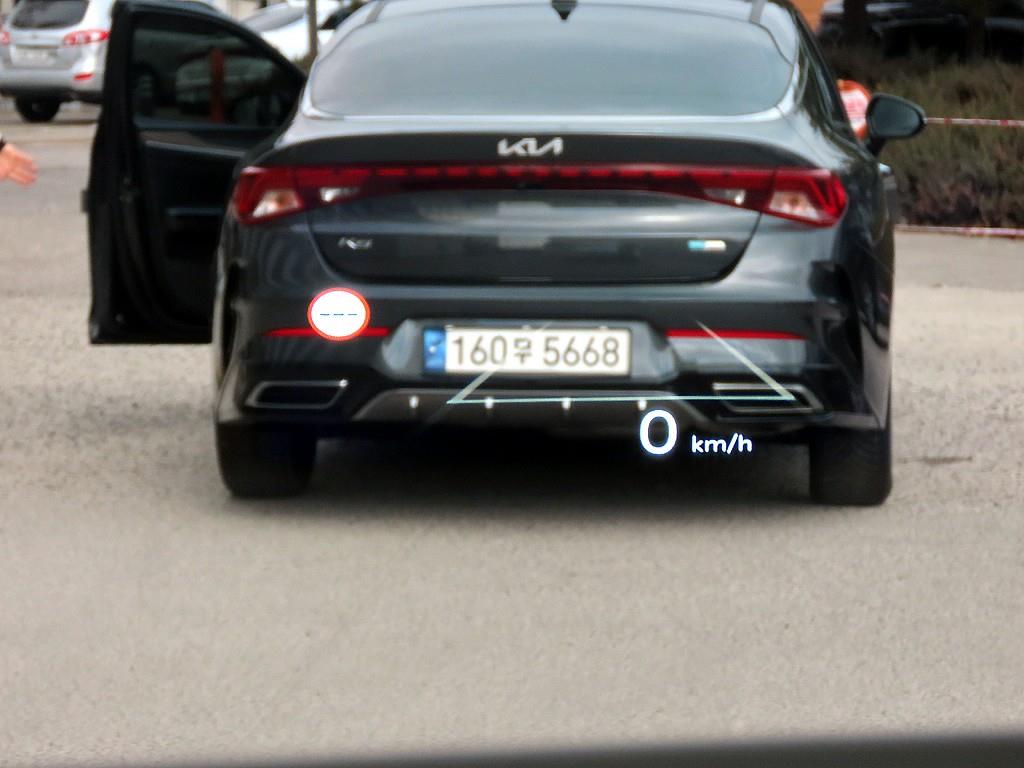 KIA Carnival - Vista 10