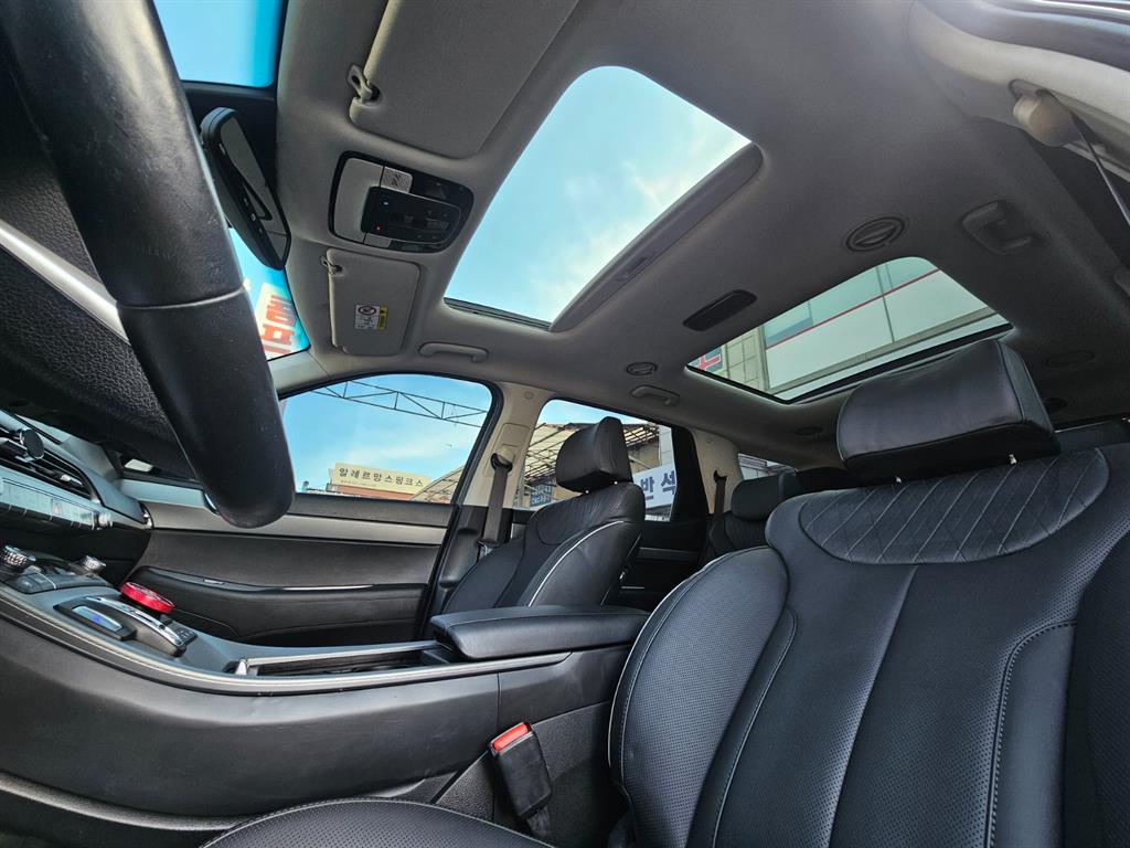 HYUNDAI Palisade - Vista 10