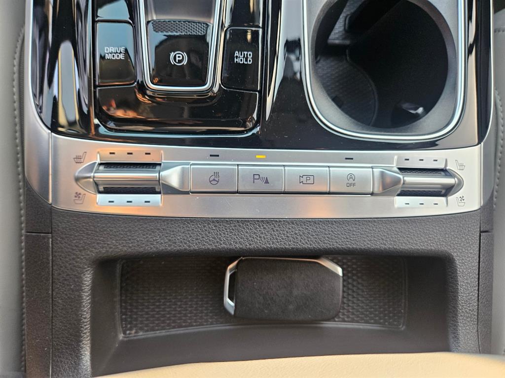 KIA Carnival - Vista 11