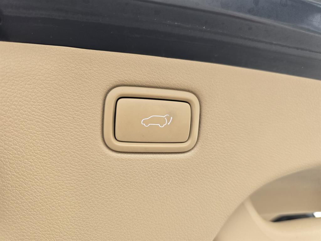 KIA Carnival - Vista 8