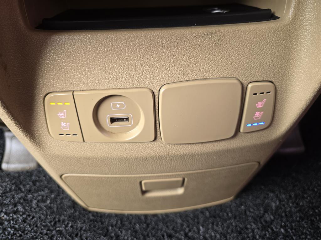 KIA Carnival - Vista 12