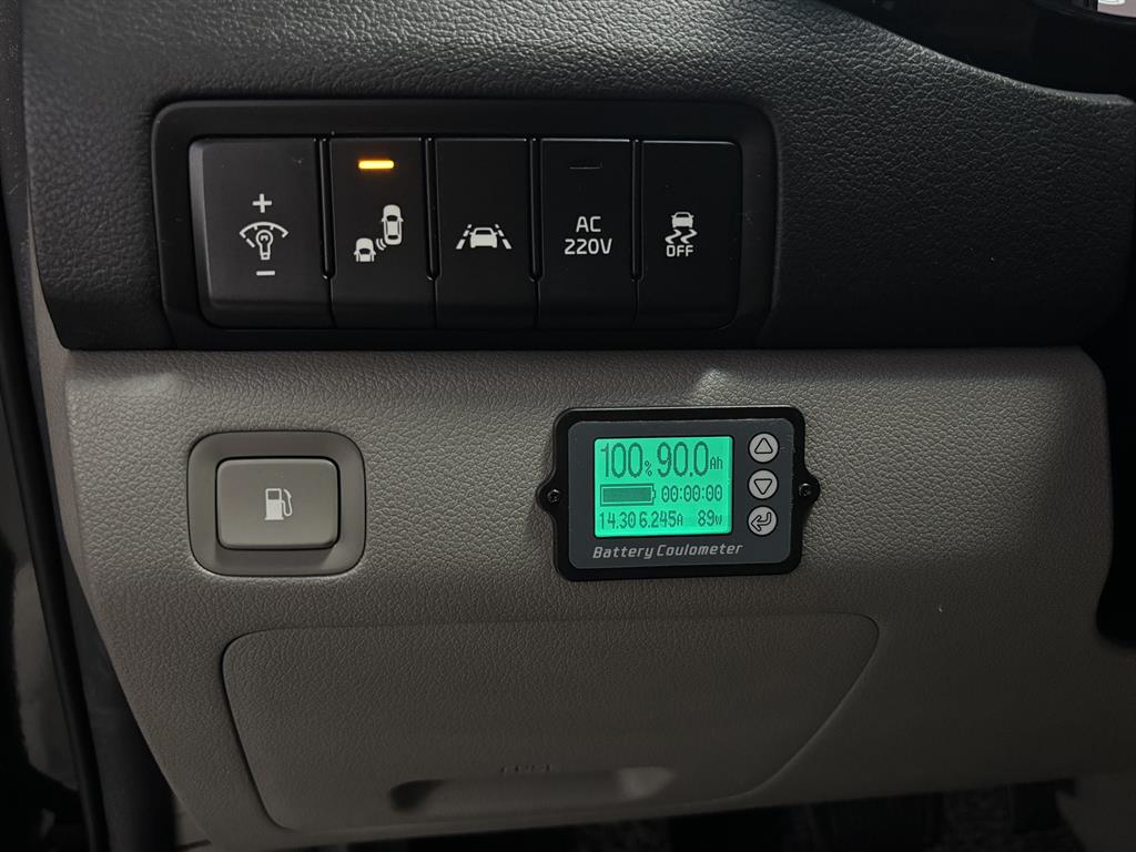 KIA Carnival - Vista 12