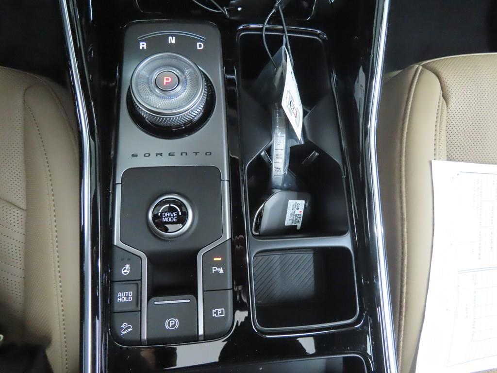 KIA Sorento - Vista 12