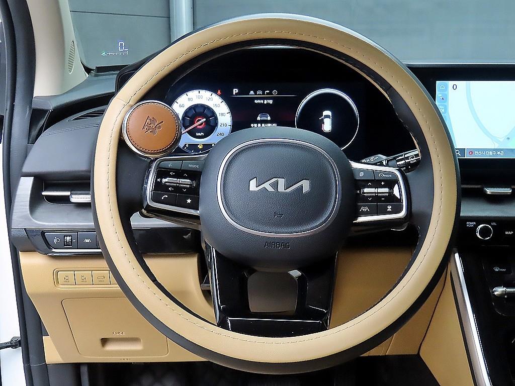 KIA Carnival - Vista 9