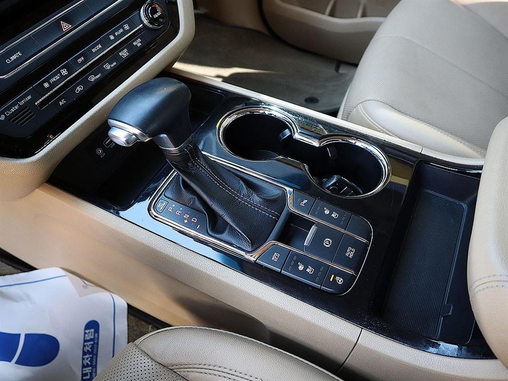 KIA Carnival - Vista 12