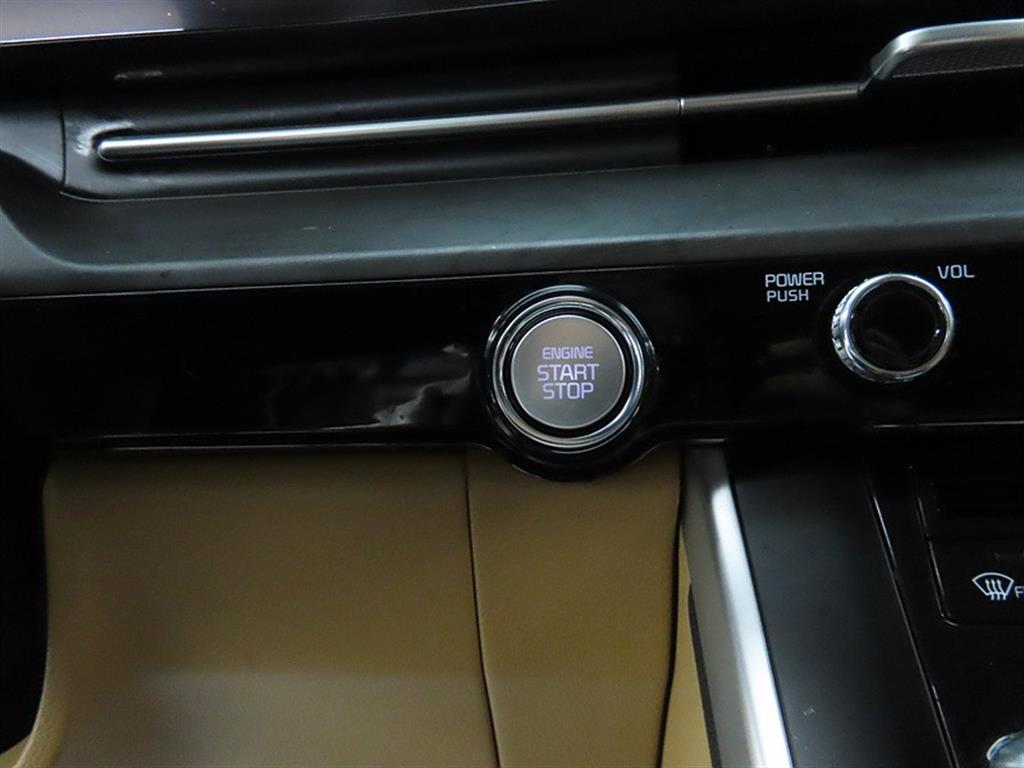 KIA Carnival - Vista 10